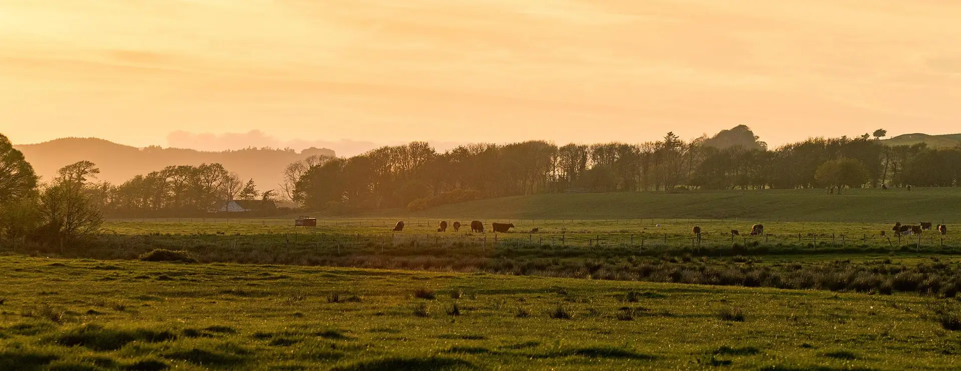 Caerlaverock Sunset
