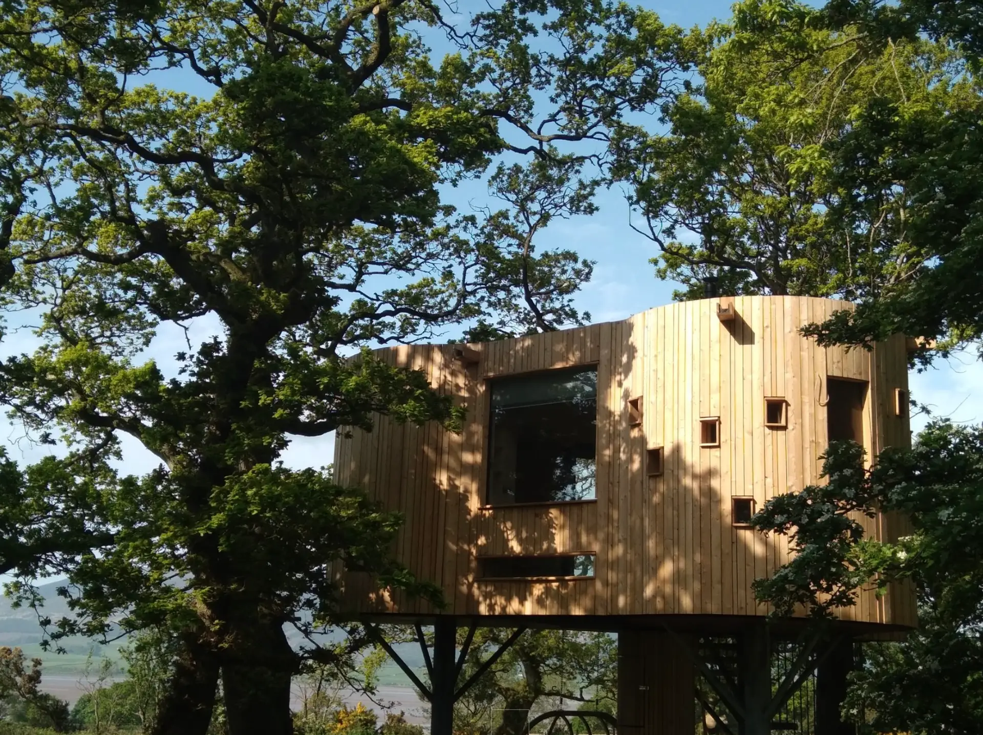 The Treehouse, Caerlaverock Estate